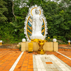 Alternative view of Tour du lịch quảng bình 4 ngày 3 đêm